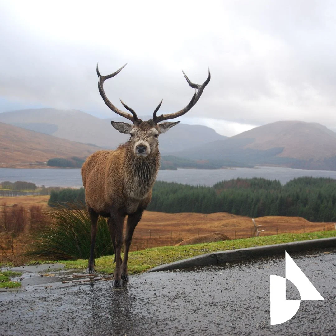 SEO AEO FOR TRAVEL companies, agencies and websites